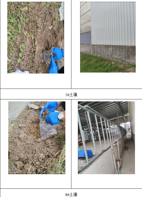 &#70;&#71;&#30005;&#23376;&#40;&#20013;&#22269;&#28216;&#41;&#23448;&#26041;&#32593;&#31449;